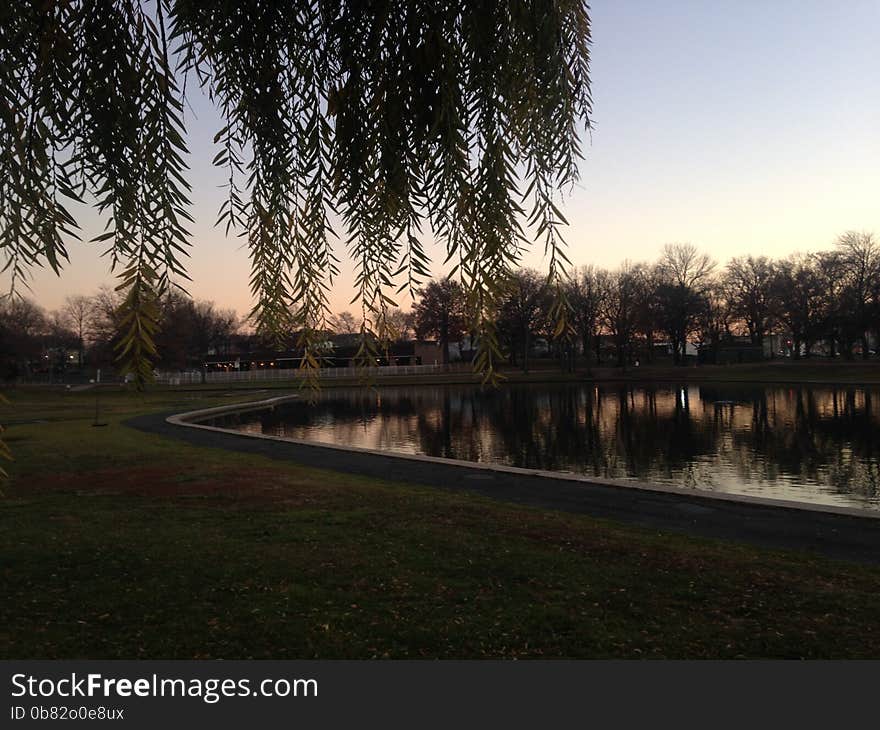 Trees Reflecting in a Pond Surface during Sunset in Winter in Lincoln Park in Jersey City, NJ - view from under a Willow Tree. Trees Reflecting in a Pond Surface during Sunset in Winter in Lincoln Park in Jersey City, NJ - view from under a Willow Tree.