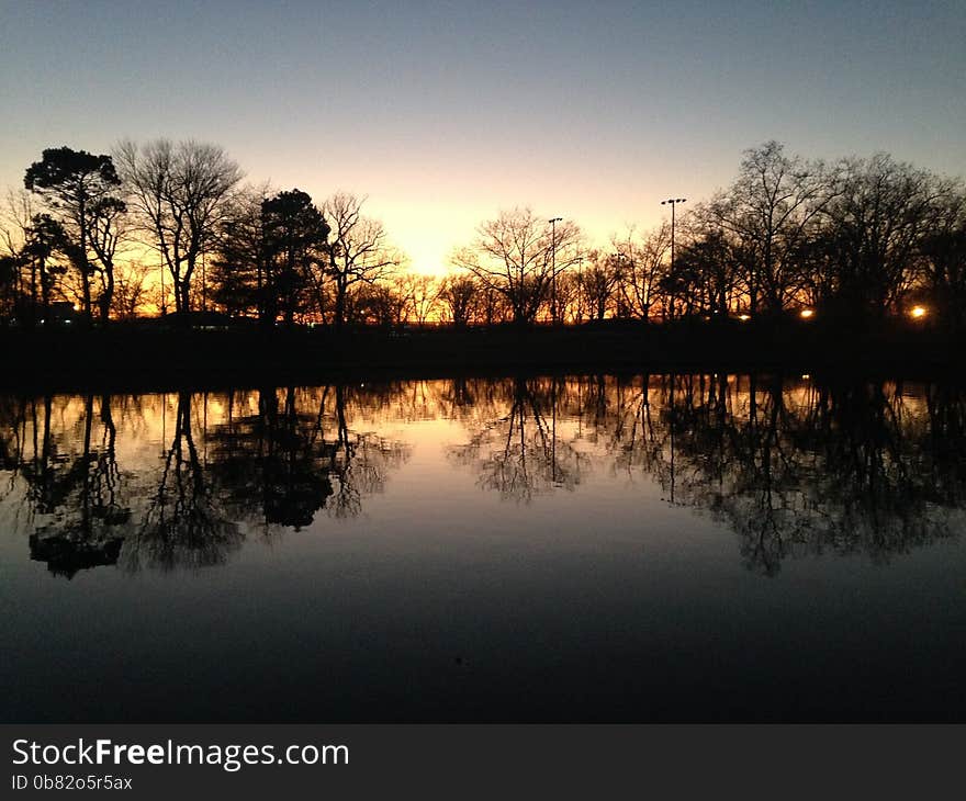 Trees Reflecting in a Pond Surface during Sunset in Winter in Lincoln Park in Jersey City, NJ. Trees Reflecting in a Pond Surface during Sunset in Winter in Lincoln Park in Jersey City, NJ.