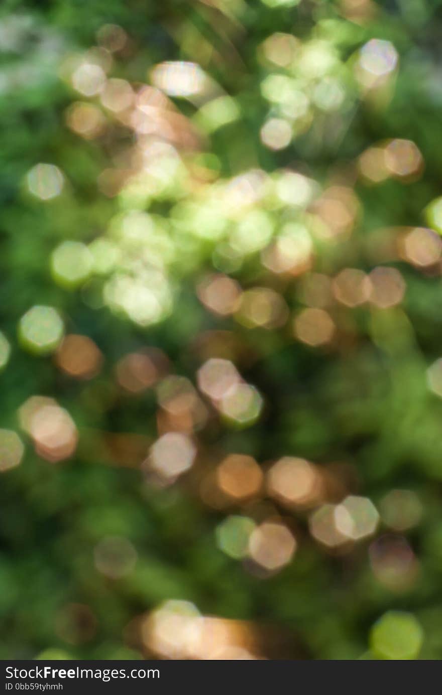 Natural green blurred background. leaves and trees at the back.