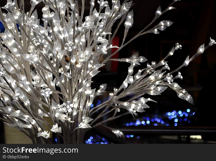 White bush with glowing lights.