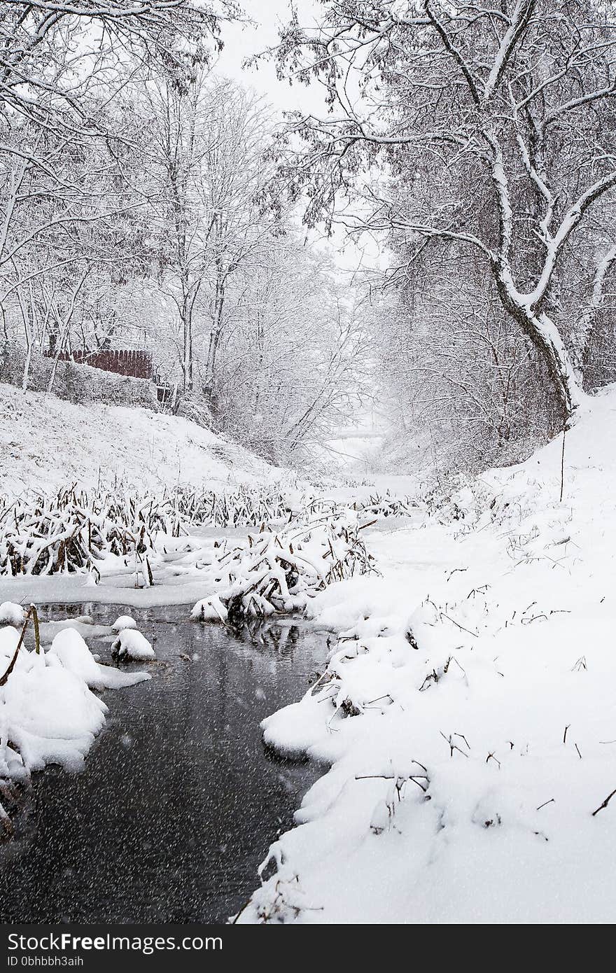 Snowing over a winter stream