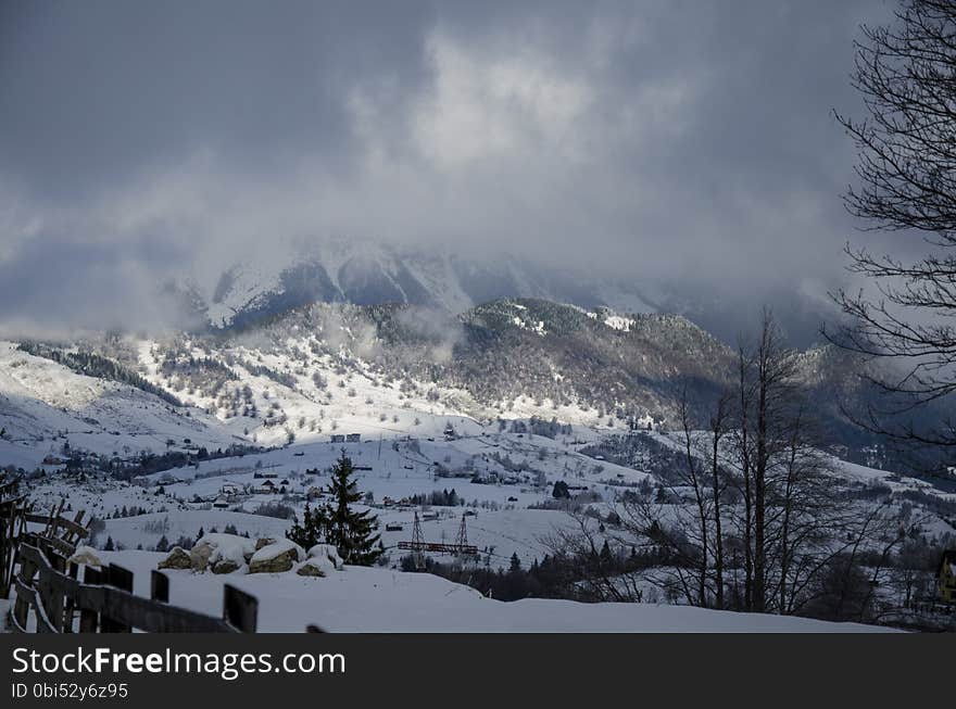 Winter landscape