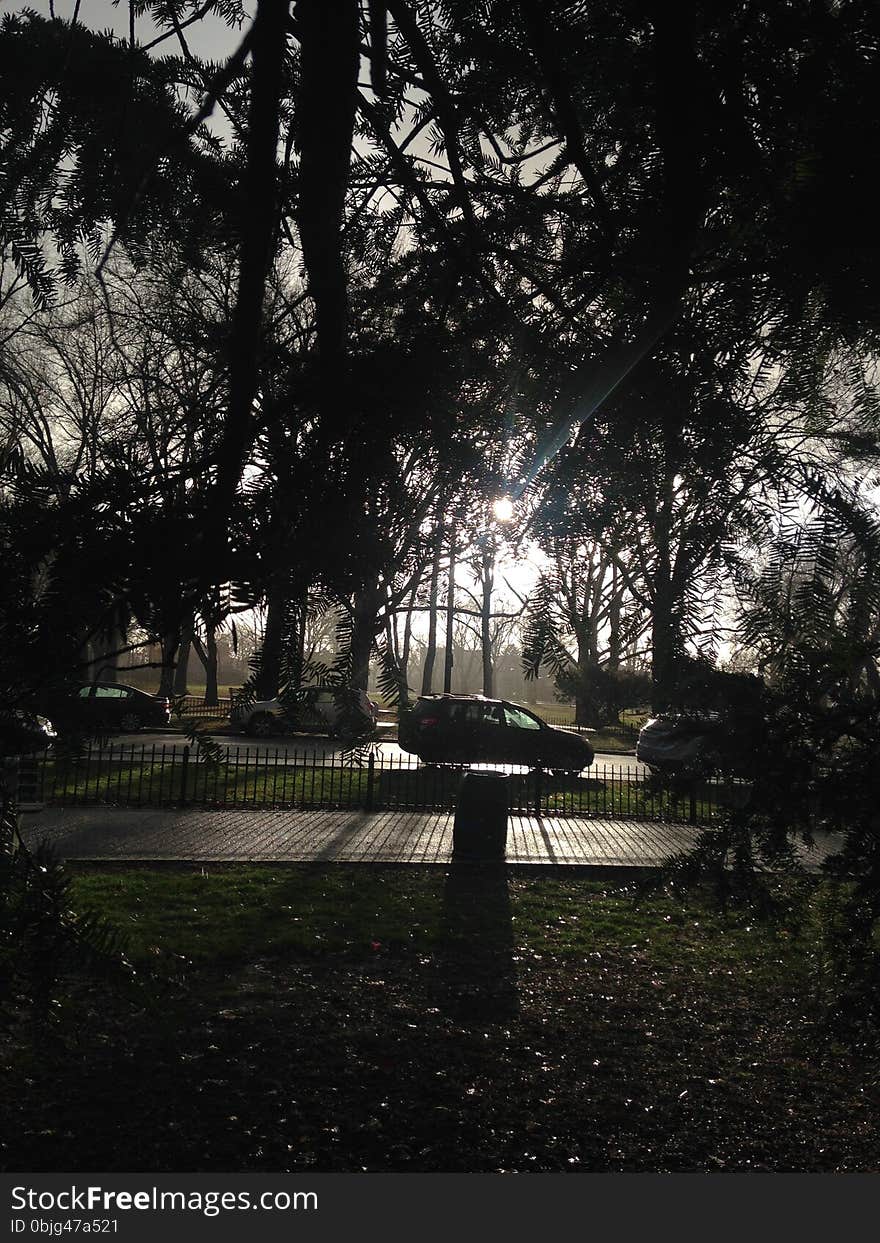 Park with Dark Cloudy Sky during Rain in Winter.