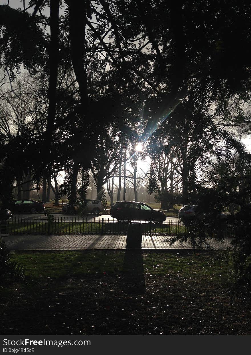 Park with Dark Cloudy Sky during Rain in Winter.