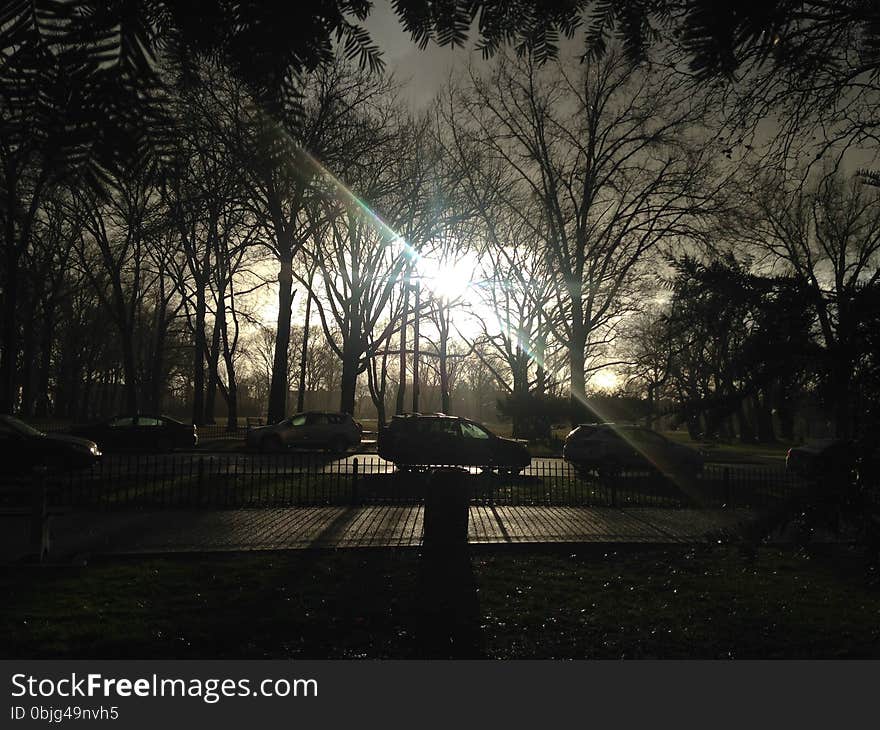 Lincoln Park in Jersey City, NJ with Dark Cloudy Sky during Rain in Winter - View from under Taxus Baccata &#x28;English Yew&#x29; Tree &#x28;Hiding from Rain&#x29;. Lincoln Park in Jersey City, NJ with Dark Cloudy Sky during Rain in Winter - View from under Taxus Baccata &#x28;English Yew&#x29; Tree &#x28;Hiding from Rain&#x29;.