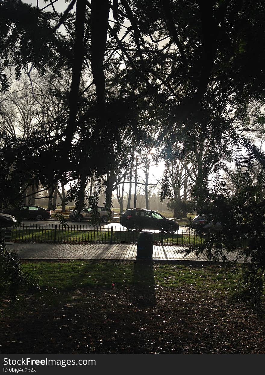 Park with Dark Cloudy Sky during Rain in Winter.