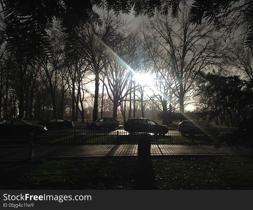 Park with Dark Cloudy Sky during Rain in Winter.