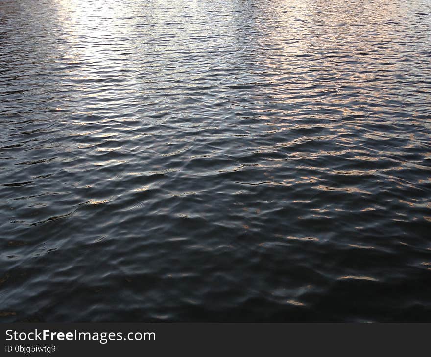 Light Reflecting on Water in a Pond during Sunset in Winter.