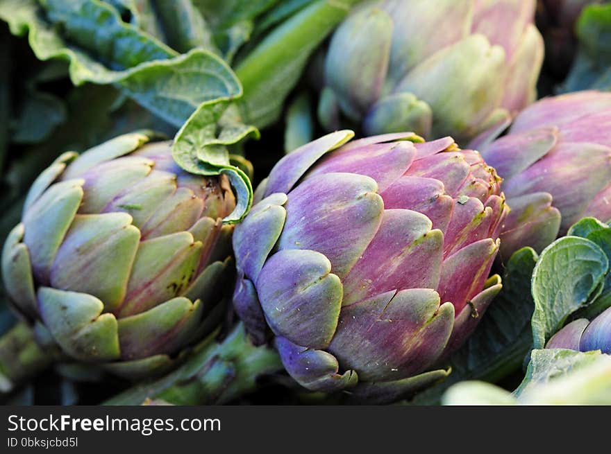 Artichokes in the Italian market. Artichokes in the Italian market