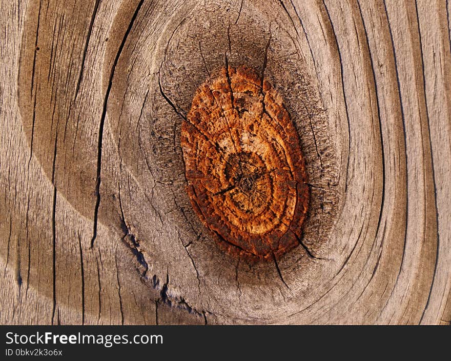 knot on a old wood fence grain background knot