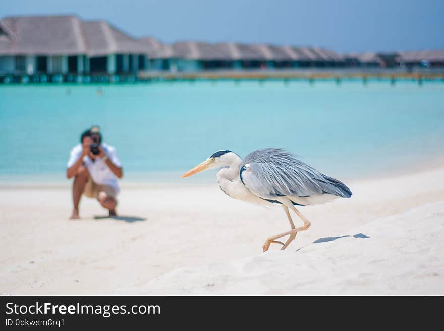 Photographer shooting bird