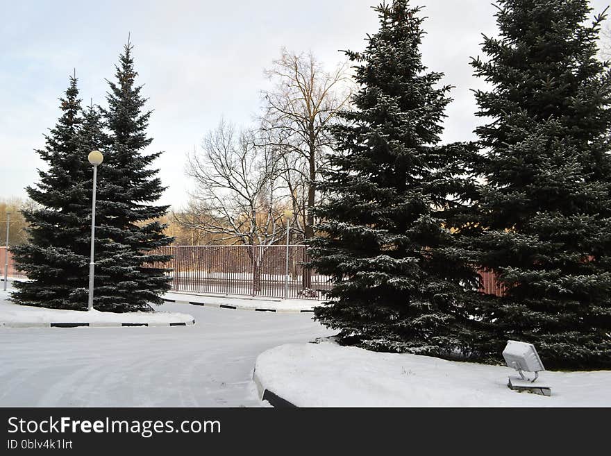 Snowy winter landscape