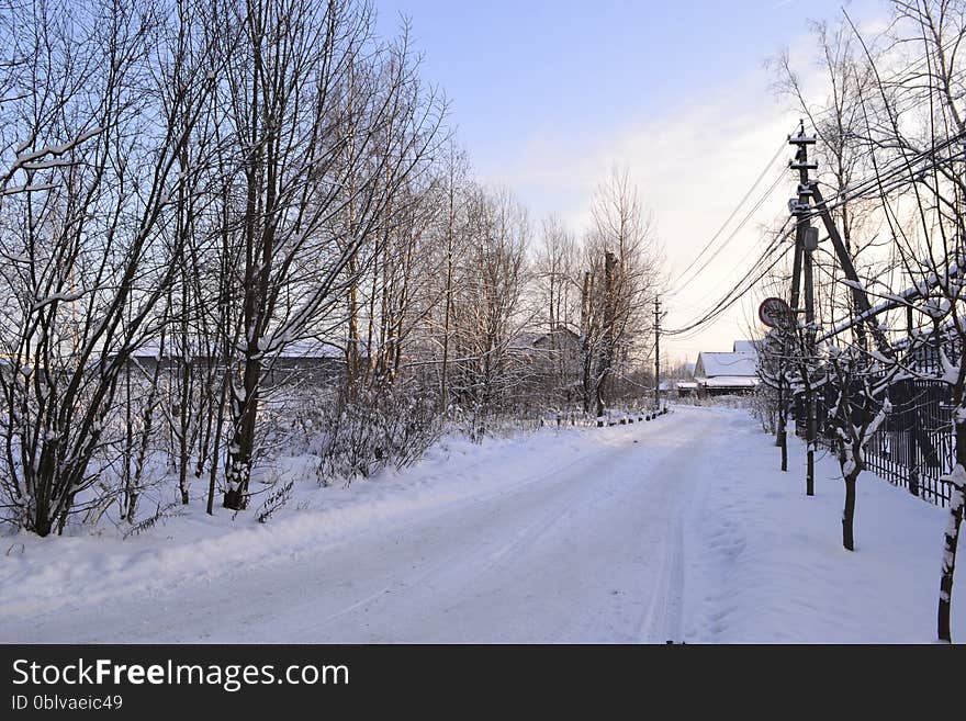 Snowy winter landscape