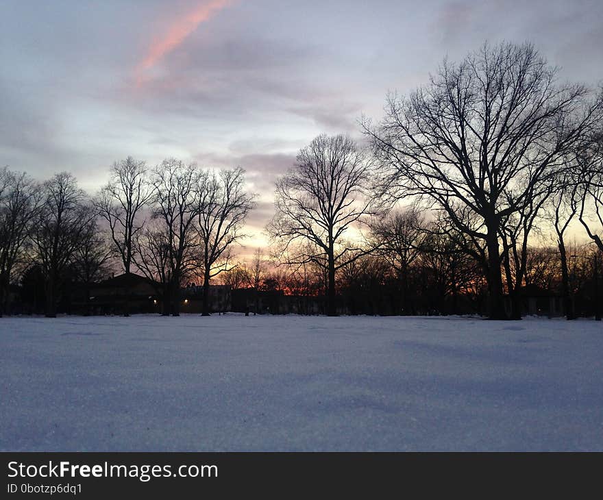 Sunset in a Park in Snow in Winter.