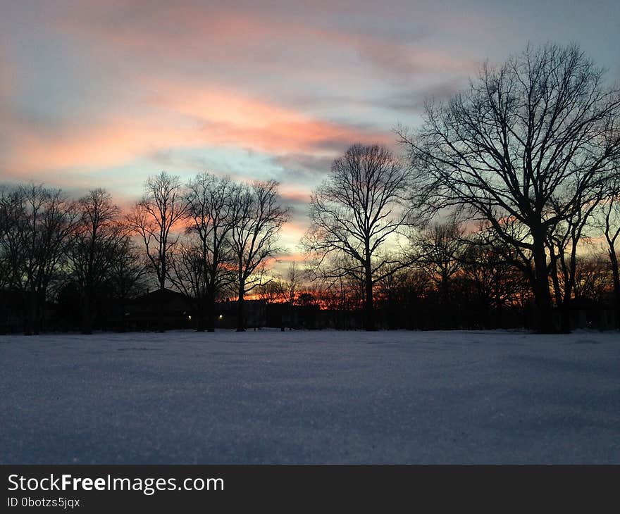 Sunset in a Park in Snow in Winter.