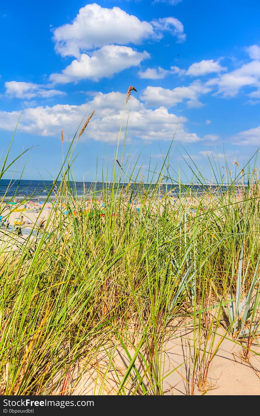 Beach holiday in summer time