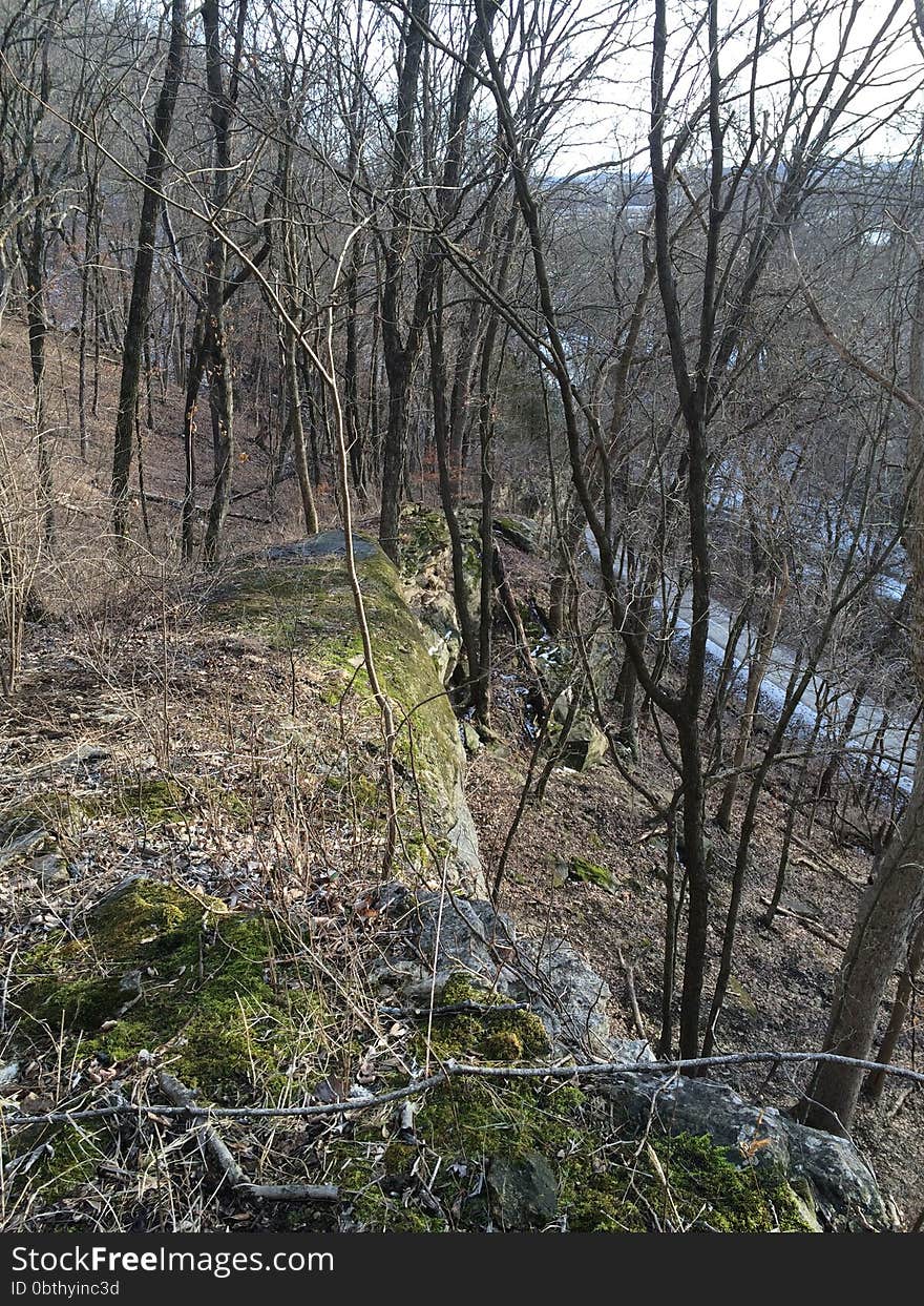 Missouri rock bluffs in the fall