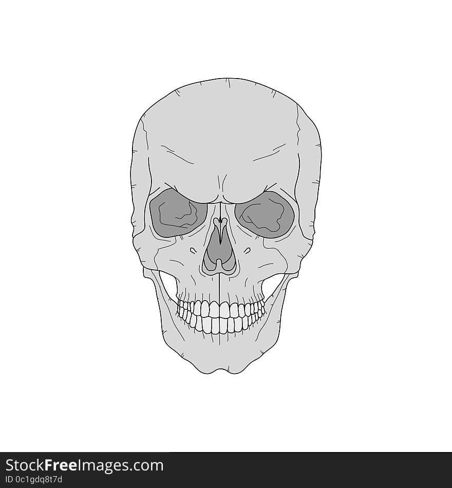 Scary skull