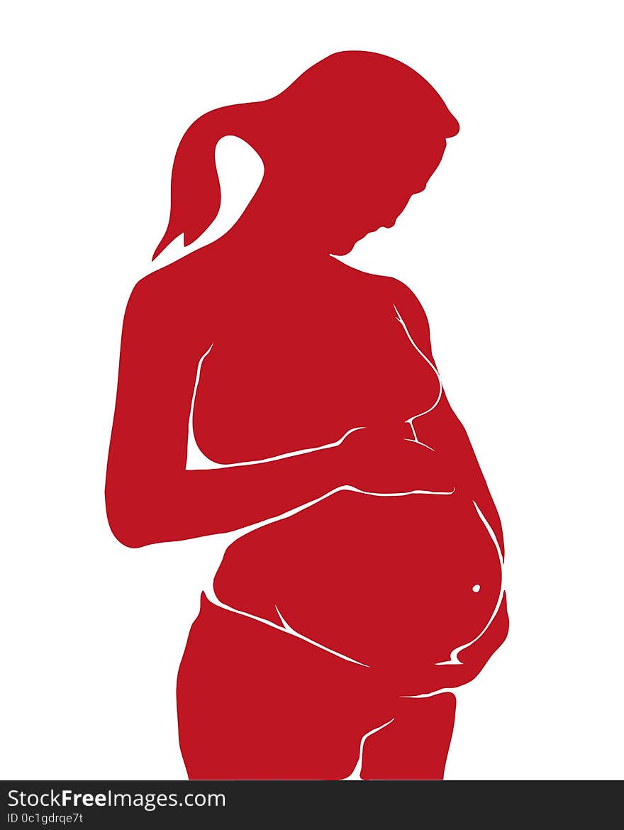 Vector illustration Pregnant on a white background