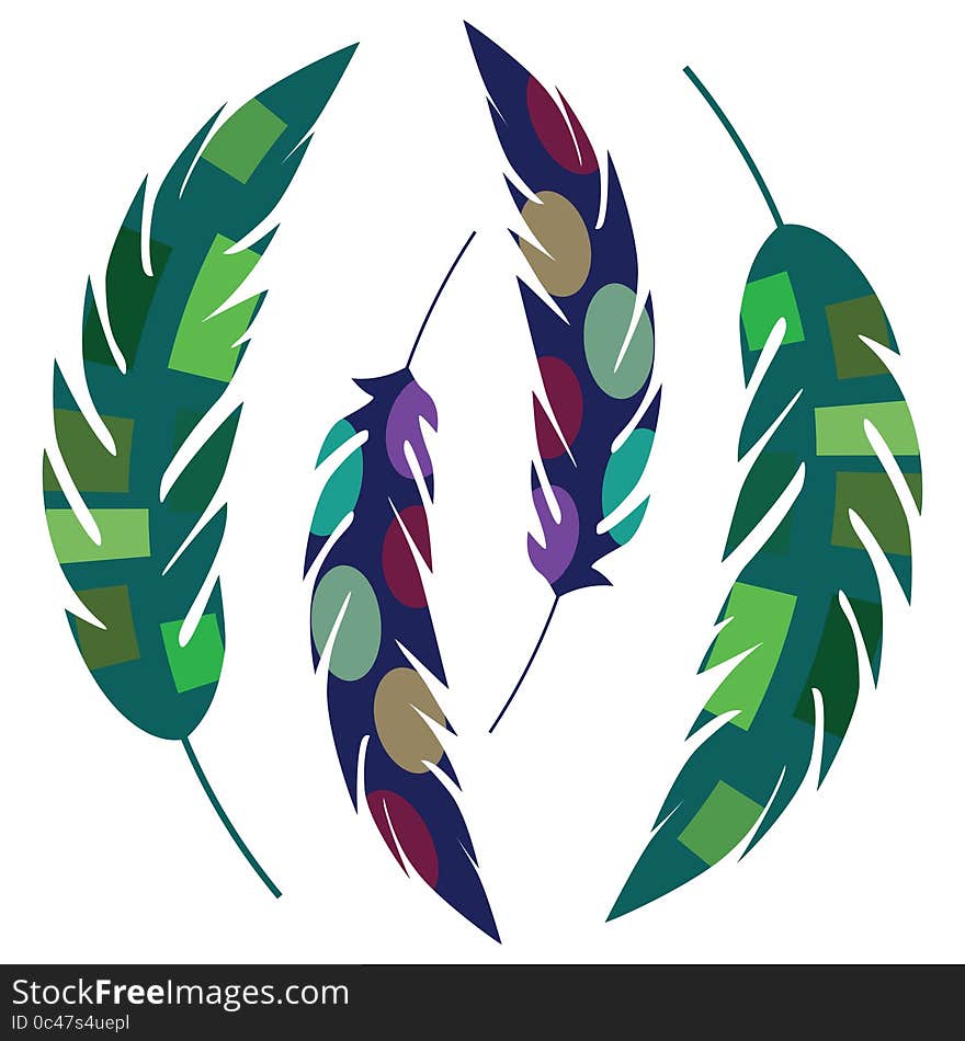 Colorful decorative feathers with circles