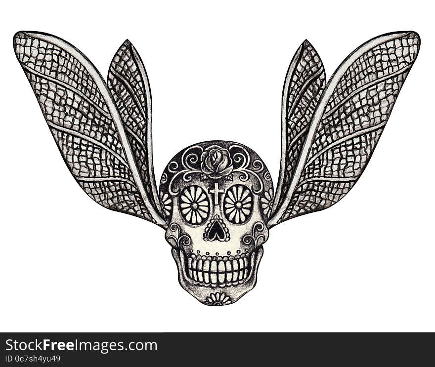 Art skull wings tattoo.