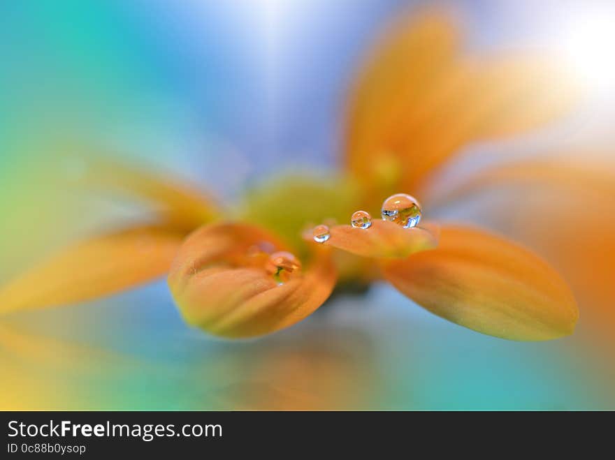 Abstract Macro Photography.Orange and Yellow Colors.Amazing Colorful Wallpaper.Beautiful Nature.Extreme close up macro.Art,green.