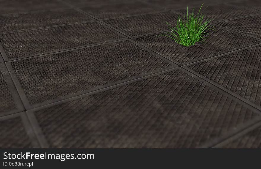 Ecology concept, grass sprouted through the gray plate