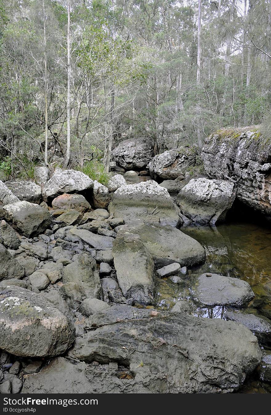 Nature Walk, Nowra