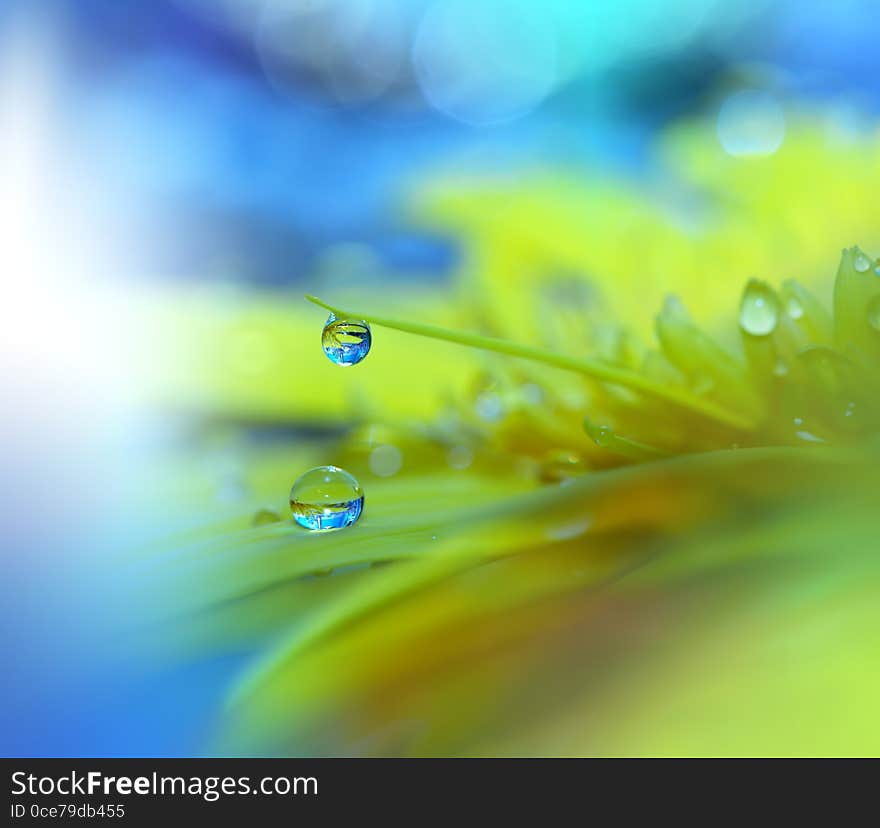 Beautiful Nature.Art photography.Floral fantasy design.Colorful Abstract Macro,water drops.Web Banner.Relaxation.Colors,blue.