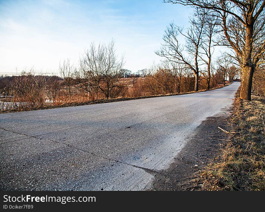 Road stretches into the distance in the autumn