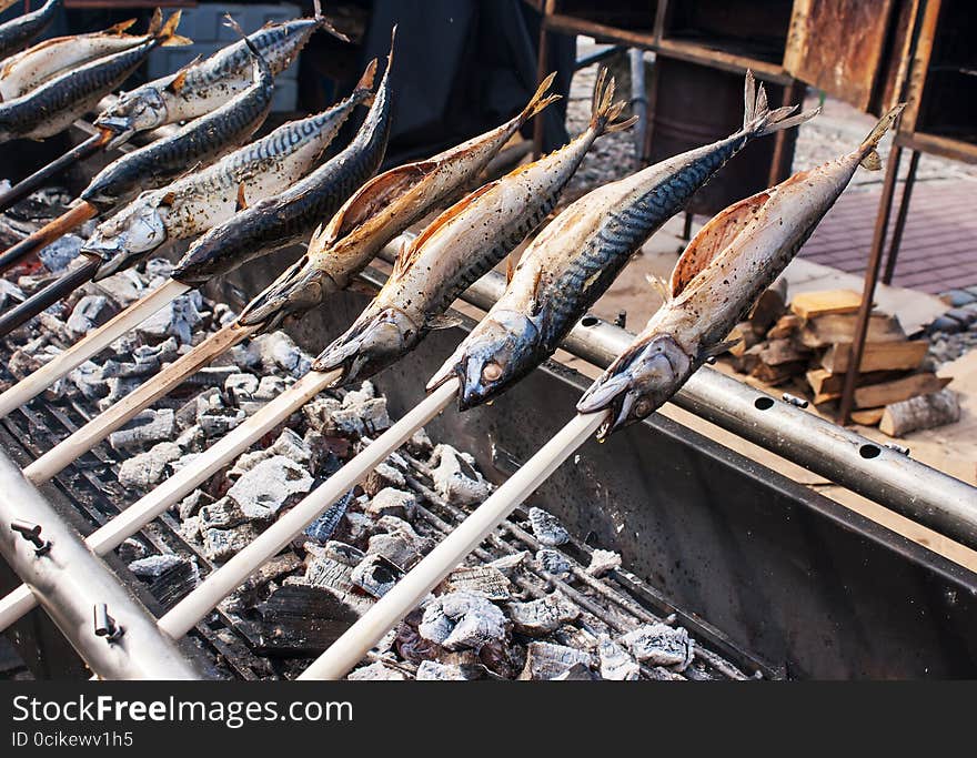 Mackerel cooking on hot coals