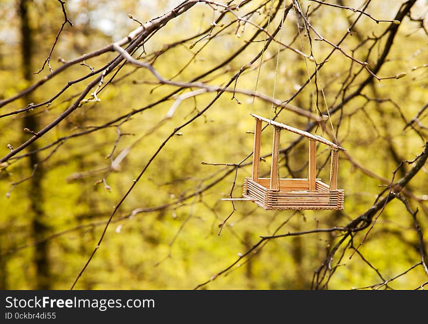 Wooden feeding trough for birds on a tree on spring day