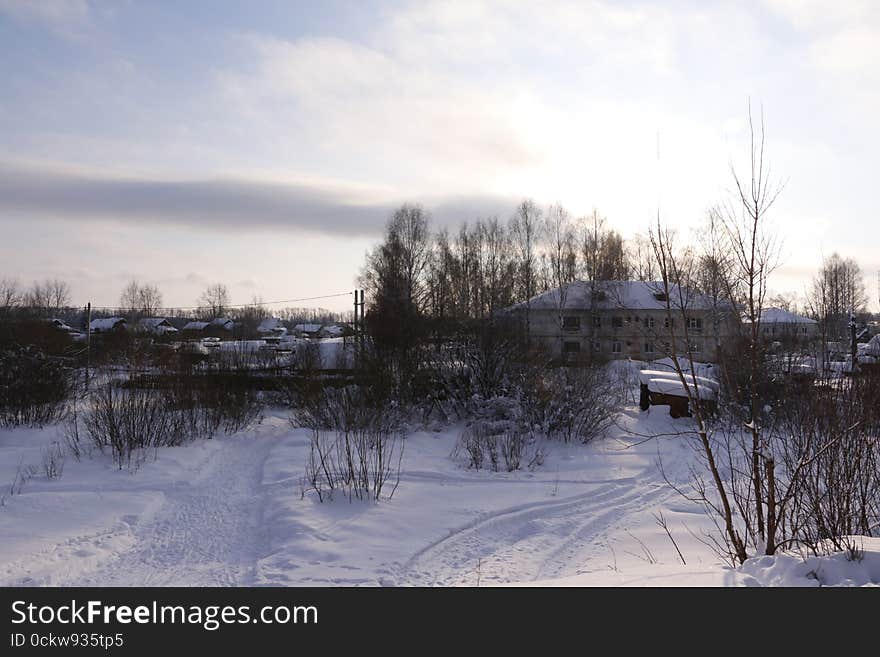 Village in a winter day