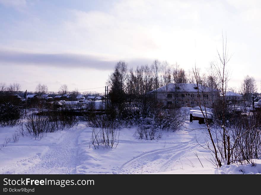 Village in a winter day