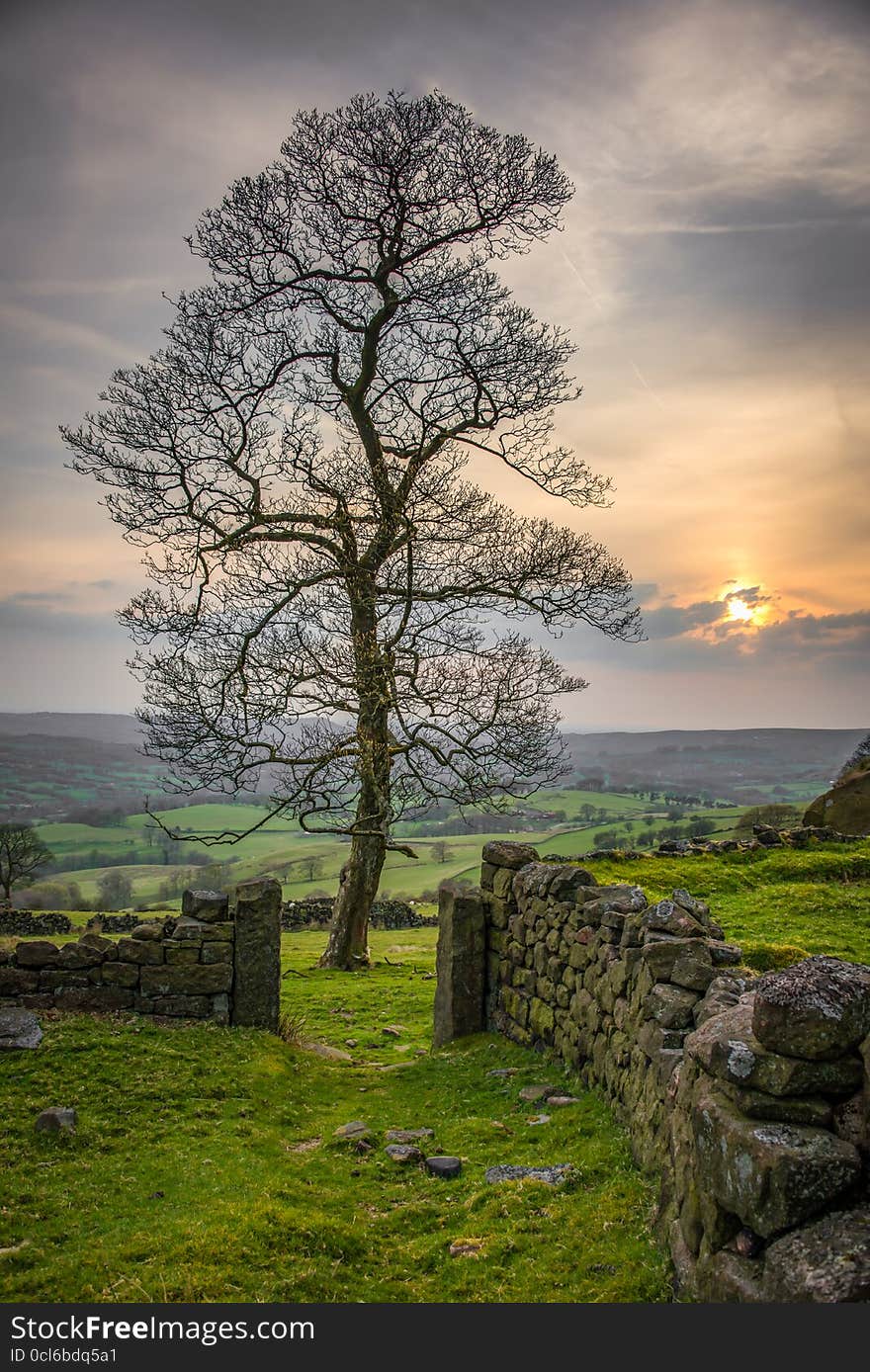 A single tree set against a sunset in the peak district of the UK. A single tree set against a sunset in the peak district of the UK