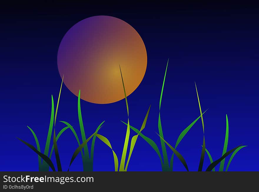 Night Grass On Background Of The Moon