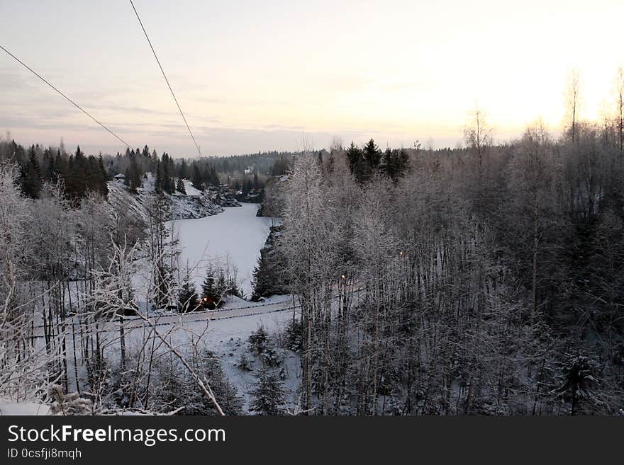 Trees in cold winter day and snow