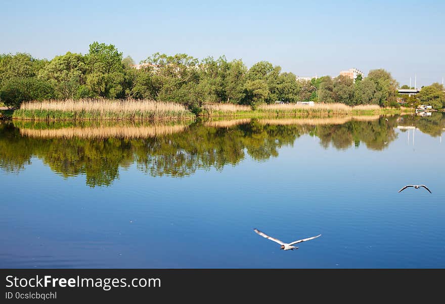 River Landscape In Summer