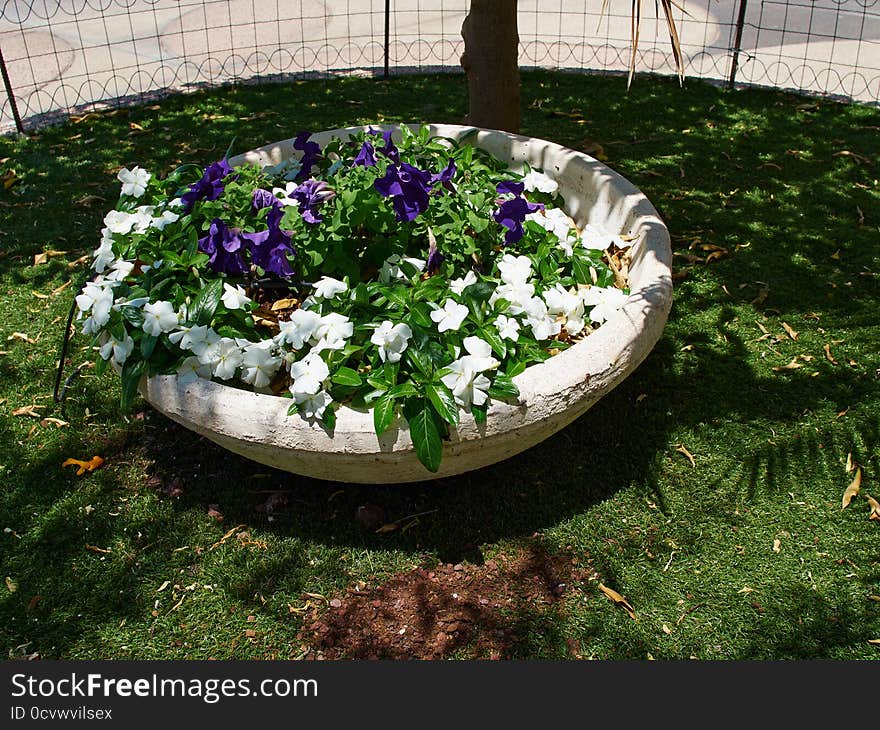 Classical beautiful street flower pot Tel-Aviv Israel. Classical beautiful street flower pot Tel-Aviv Israel