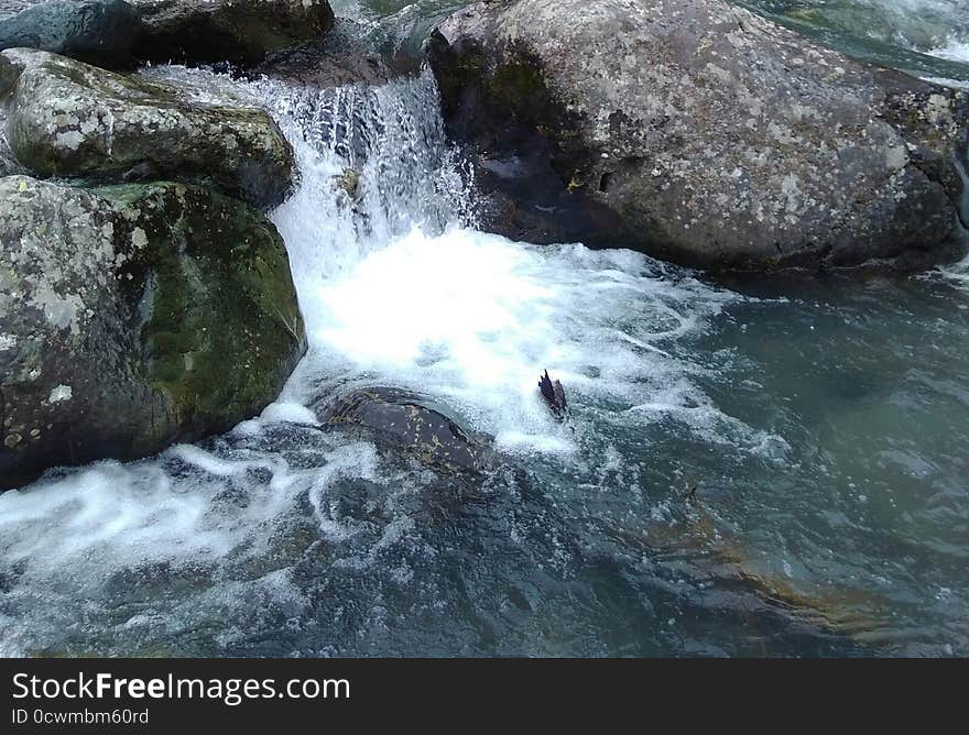 The subject of the photograph is the water fall. How the rocks change the formation when the water falls on them with pressure.