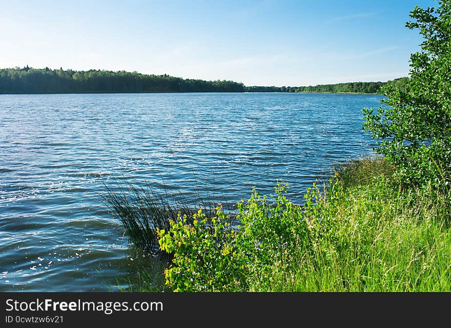 Lake landscape on sunny summer day