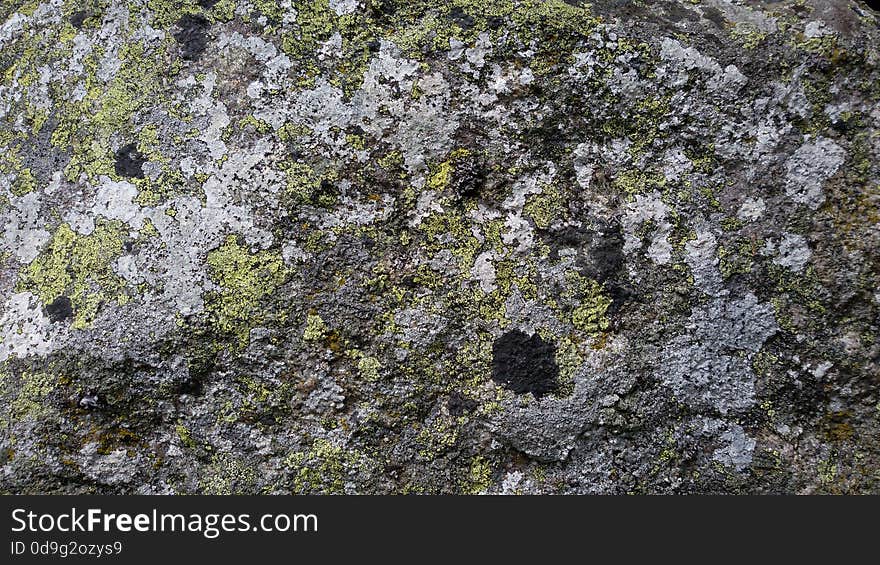 A close up of stone surface with lichens. A close up of stone surface with lichens.