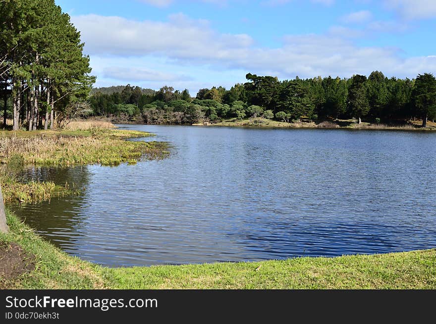 Landscape in a lake in a sunny day. Landscape in a lake in a sunny day