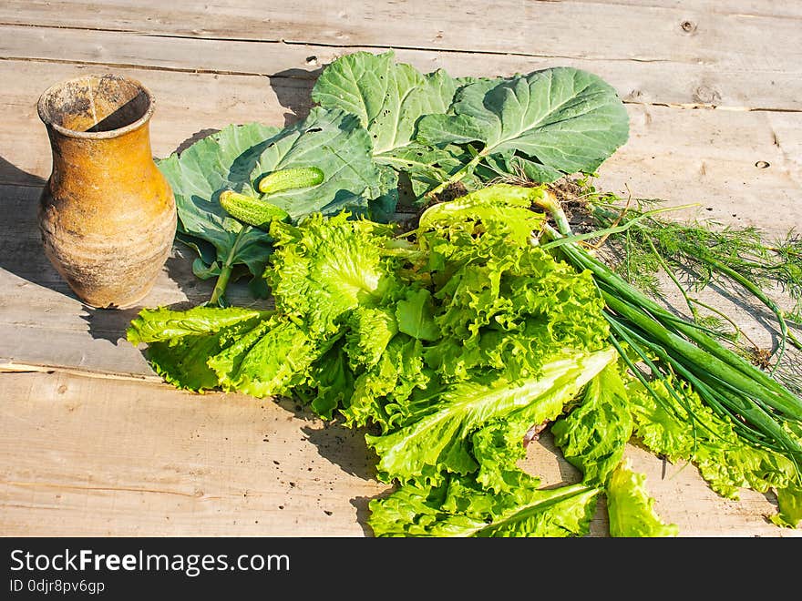 Cabbage, onions, cucumbers and vintage jug on the wooden table