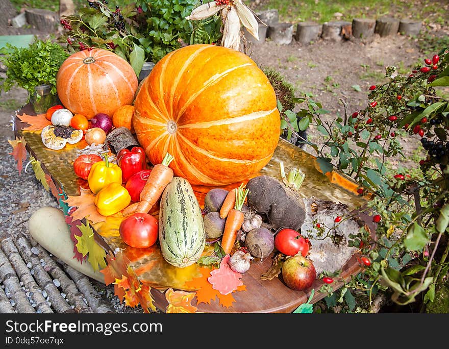 New harvest, vegetables on the table