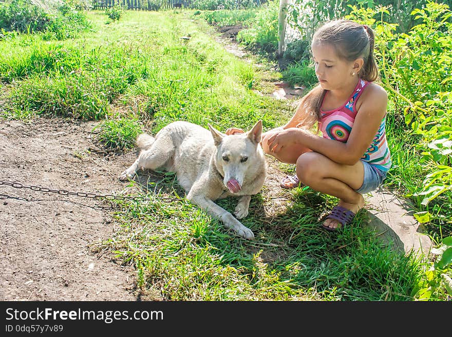 Girl playing with a dog