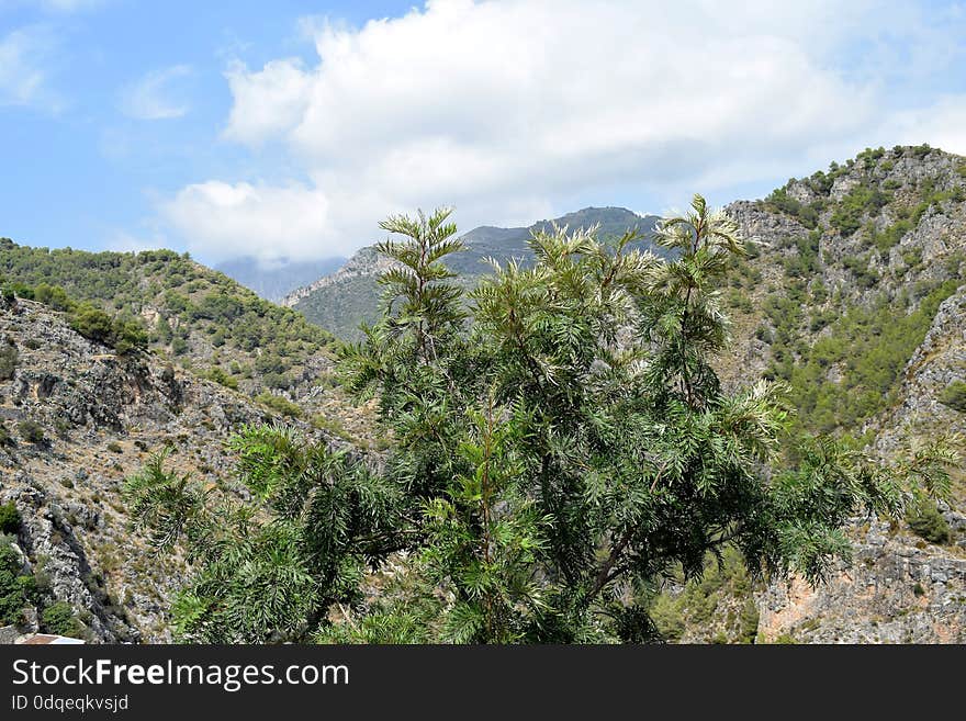 Mountain view from Frigiliana - Spanish white village Andalusia