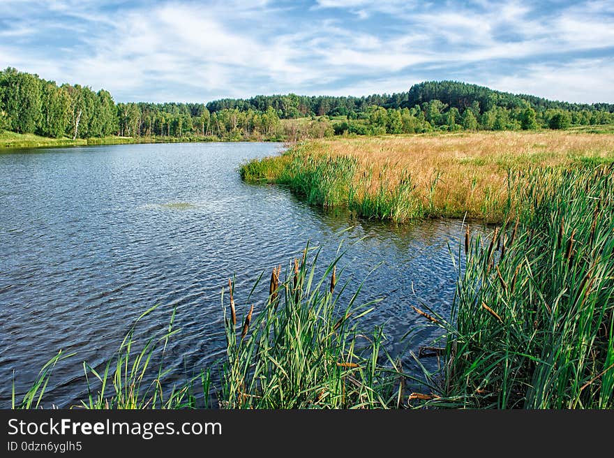 Bank of the river, summer landscape on sunny day