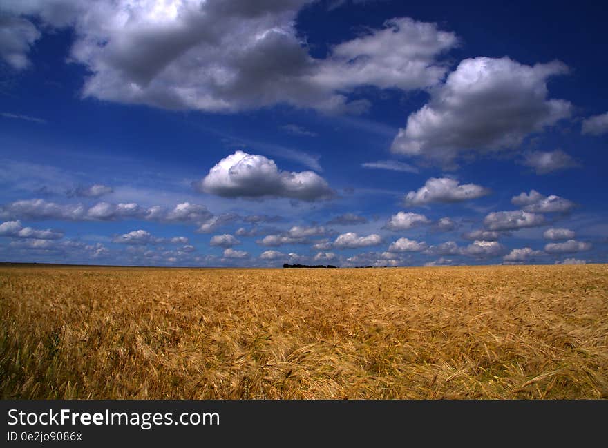 Blue sky with white clouds