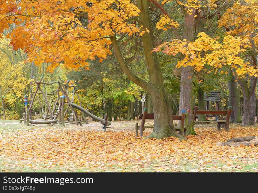 Autumn abandoned childhood playground